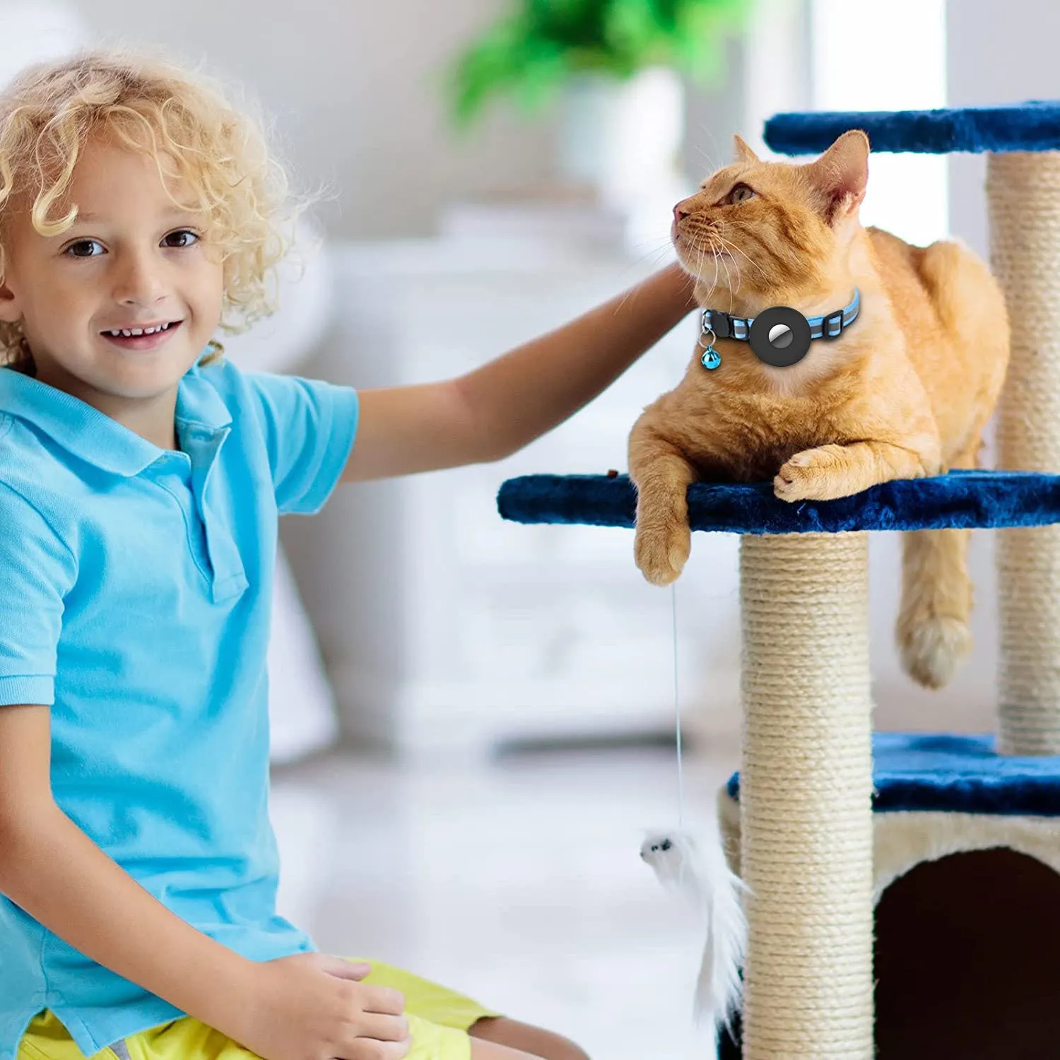 Adjustable Airtag Pet Collar With Bell - Reflective