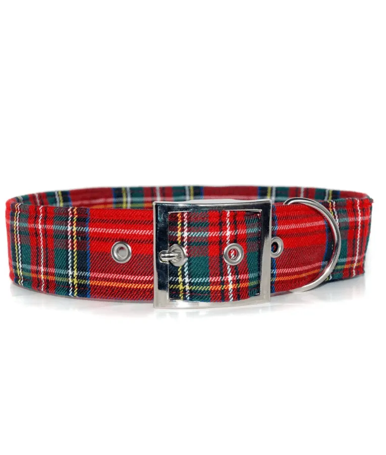 Animate Tartan Padded Heavy Duty Collar