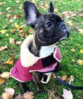 QUILTED SHEARLING BURGUNDY DOG JACKET